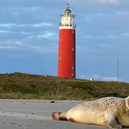 Boerderij Blok Σπίτι διακοπών *