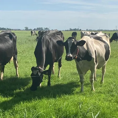 Boerderij Blok * Barsingerhorn