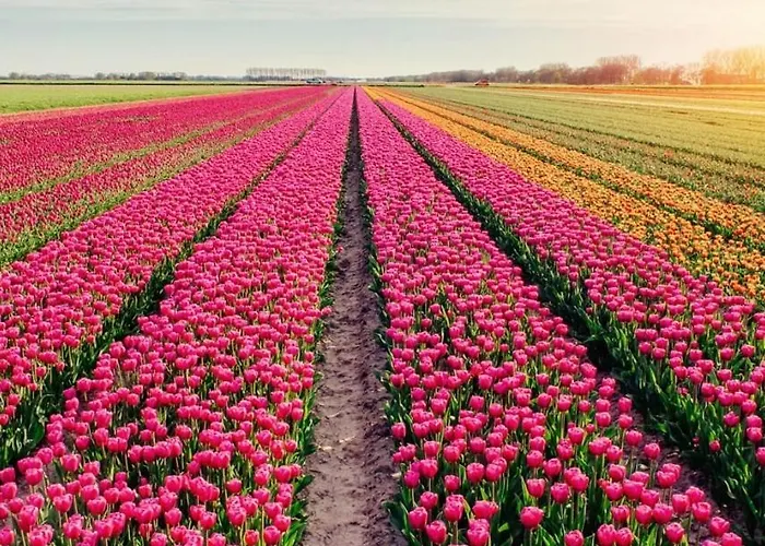 Boerderij Blok Ferienhaus