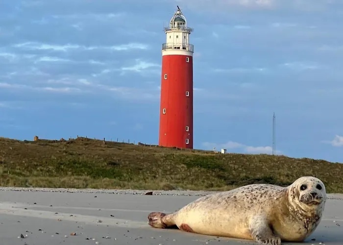 Boerderij Blok Ferienhaus *