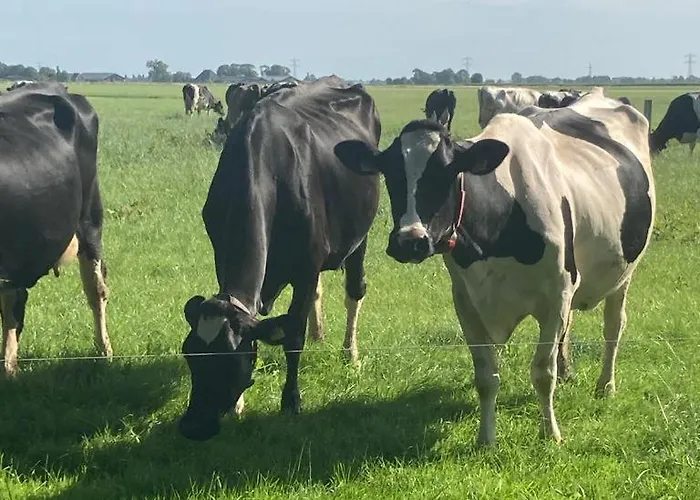 Boerderij Blok * Barsingerhorn