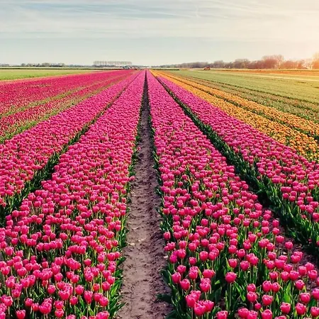 Boerderij Blok Semesterbostad